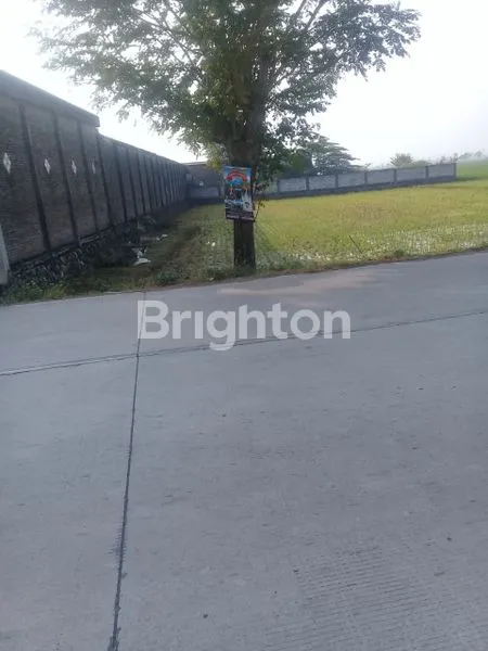 image TANAH DI SUKAREJO (1)