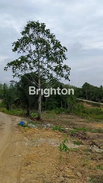 image TANAH INDUSTRI 2.2 HA STRATEGIS DI KAWASAN KARIANGAU BALIKPAPAN (2)