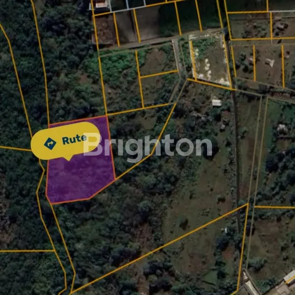 image TANAH STRATEGIS 50 ARE DI PANDAWA — IDEAL UNTUK VILLA BERTINGKAT DENGAN VIEW EKSOTIS DAN AKSES PREMIUM (3)