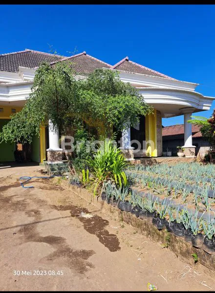RUMAH 2 LANTAI + KEBUN SUBUR 1195M² DI PONCOKUSUMO MALANG