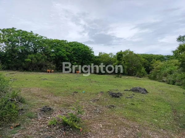 image LAHAN PREMIUM 2 HEKTAR DI KAWASAN WISATA PANDAWA — LANGKAH AWAL UNTUK RESORT MEWAH ATAU KOMPLEKS KOMERSIAL DI BALI SELATAN (7)