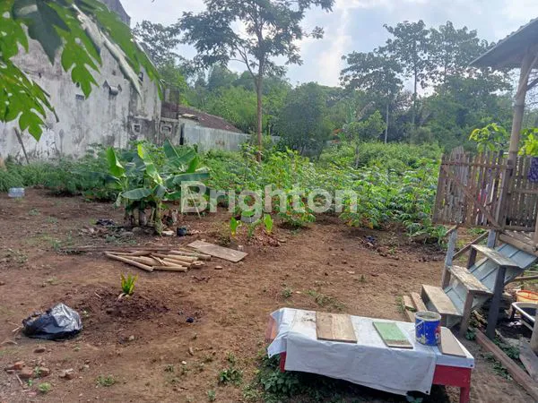 image TANAH LUAS DI MADYOPURO KEDUNGKANDANG (1)
