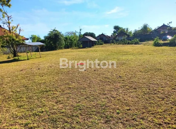 image TANAH STRATEGIS 43 ARE DI AREA PREMIUM PANDAWA — INVESTASI CERDAS UNTUK HUNIAN ATAU VILA EKSKLUSIF DI BALI SELATAN (1)