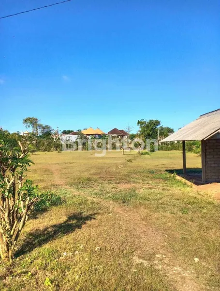 image TANAH STRATEGIS 43 ARE DI AREA PREMIUM PANDAWA — INVESTASI CERDAS UNTUK HUNIAN ATAU VILA EKSKLUSIF DI BALI SELATAN (2)