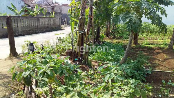 image TANAH DIJUAL – CIGOMBONG, BOGOR \UD83C\UDF3FLOKASI STRATEGIS DI PERUMAHAN GEMILANG PROPERTY LIDO (4)