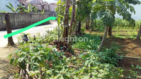 TANAH DIJUAL – CIGOMBONG, BOGOR \UD83C\UDF3FLOKASI STRATEGIS DI PERUMAHAN GEMILANG PROPERTY LIDO