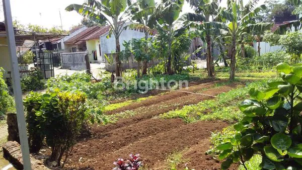 image TANAH DIJUAL – CIGOMBONG, BOGOR \UD83C\UDF3FLOKASI STRATEGIS DI PERUMAHAN GEMILANG PROPERTY LIDO (2)