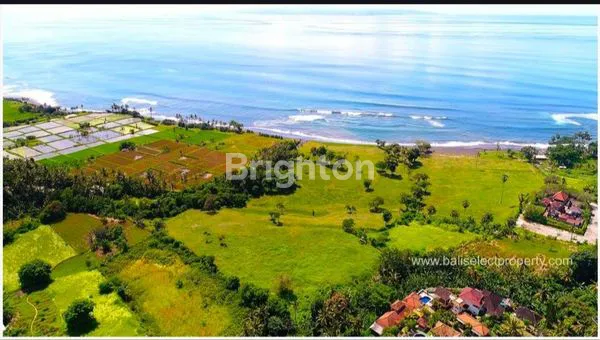image TANAH KAVLING PREMIUM DI PINGGIR PANTAI SABA GIANYAR BALI  (4)