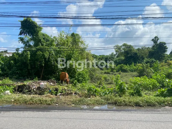 image TANAH AREA SARASWATI DEKAT SUNSET ROAD, KEROBOKAN, TEUKU UMAR, SEMINYAK, KUTA (1)
