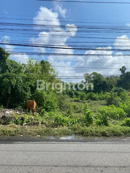 image TANAH AREA SARASWATI DEKAT SUNSET ROAD, KEROBOKAN, TEUKU UMAR, SEMINYAK, KUTA (4)