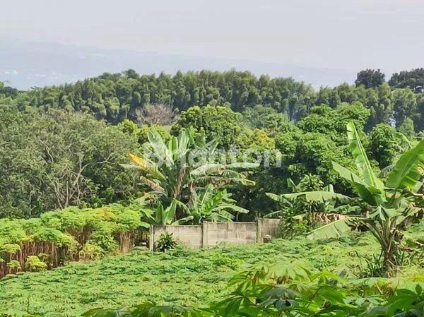 image TANAH LUAS 9000M² STRATEGIS DEKAT SUMMARECON BOGOR, CIBANON (5)