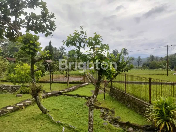 image RUMAH VILLA CIPANAS KAWUNG LUWUK CIANJUR (3)