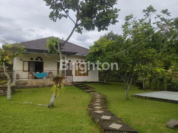 image RUMAH VILLA CIPANAS KAWUNG LUWUK CIANJUR (1)