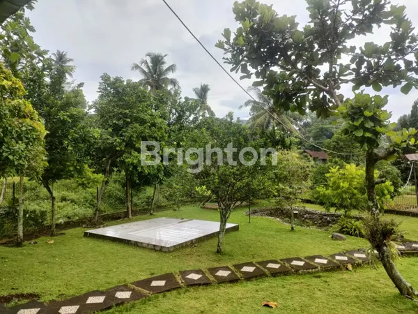 image RUMAH VILLA CIPANAS KAWUNG LUWUK CIANJUR (5)