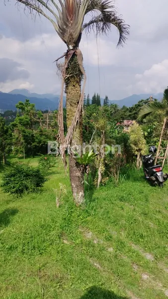 image  TANAH DAN BANGUNAN STRATEGIS SENTUL BOGOR (5)