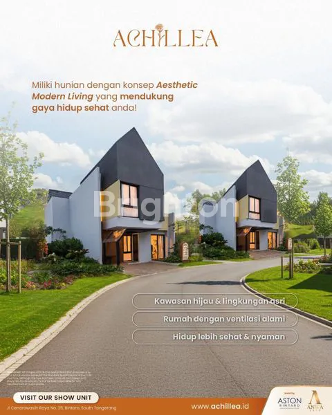 image ANWA ACHILLEA BINTARO (1)