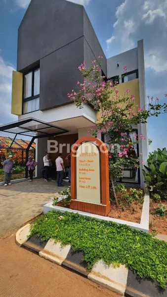 image ANWA ACHILLEA TYPE BLUSH (1)