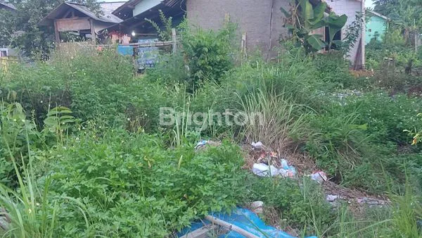 image TANAH KAVLING 200 METER BELAKANG PRESIDEN UNIVERSITAS CIKARANG (5)