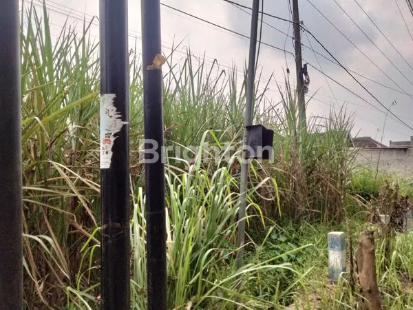 image TANAH DESA KEDUNG MONGGO  (1)