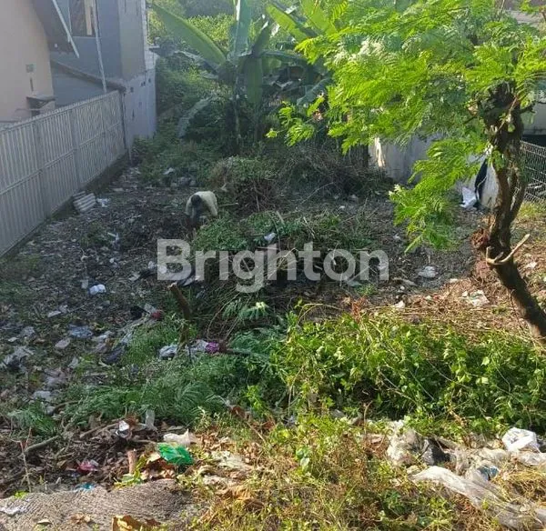 image TANAH DI IR SUTAMI (1)