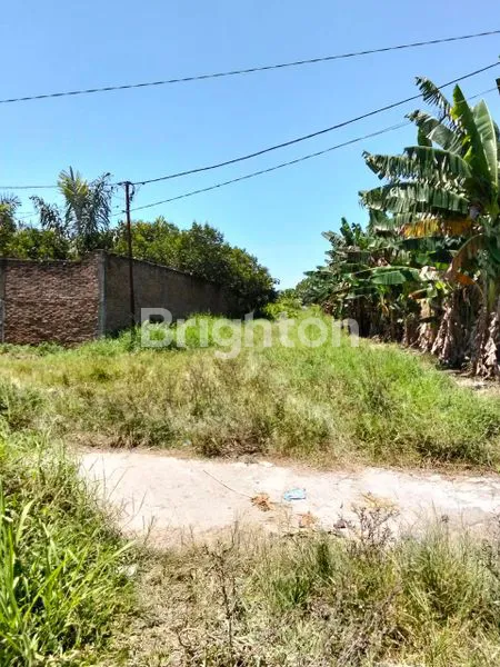 image TANAH KOSONG  DI JALAN TANJUNG BUNGA 3 DESA AMPLAS HARGA 100.000.000 (2)
