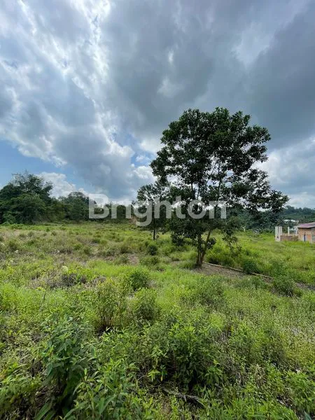 image TANAH PREMIUM 5700M² PINGGIR JALAN POROS KEBUNAGUNG LEMPAKE (1)