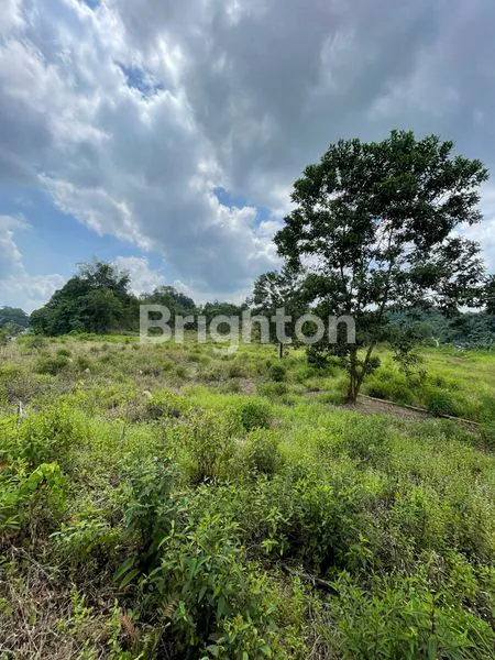 image TANAH PREMIUM 5700M² PINGGIR JALAN POROS KEBUNAGUNG LEMPAKE (2)