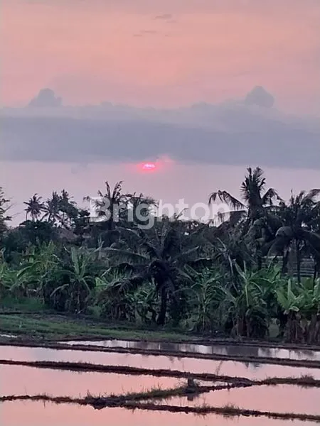 image FOR RENT EXOTICS VILLA IN PERERENAN / PANTAI LIMA (1)