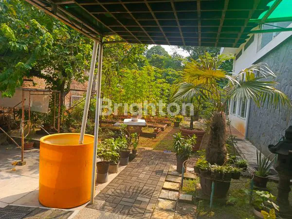 image RUMAH LUAS - SUMUR PACING, TANGERANG (3)