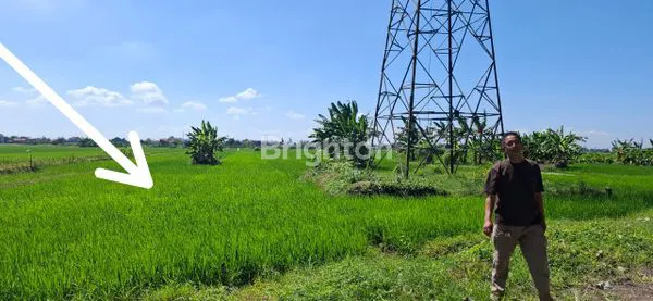 image DI JUAL TANAH SAWAH DEKAT PABRIK KAPAL API (3)