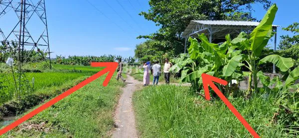 image DI JUAL TANAH SAWAH DEKAT PABRIK KAPAL API (1)