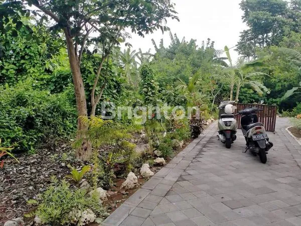 image TANAH LANGKA & STRATEGIS DI JIMBARAN (6)