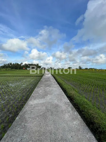 image DIJUAL TANAH AKTIF 15 ARE DI KERAMBITAN, TABANAN BALI (1)