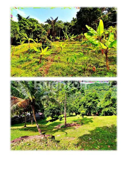 TANAH SIAP BANGUN 8.271 M² – VIEW GUNUNG, COCOK UNTUK RESORT/VILLA/GLAMPING – WEST LOMBOK
