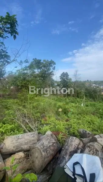 image BALIKPAPAN - TANAH KAVLING DI SEBELAH REGENCY ( G071 ) (5)