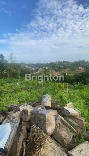 image BALIKPAPAN - TANAH LUAS DI SEBELAH PERUMAHAN REGENCY ( G070 ) (6)