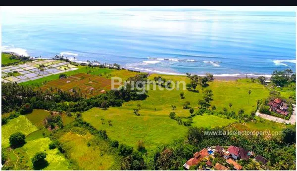 image JUAL TANAH KAVLING PREMIUM PINGGIR PANTAI SABA GIANYAR  (3)