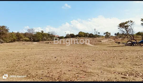 image JUAL TANAH KAVLING PREMIUM PINGGIR PANTAI SABA GIANYAR  (4)