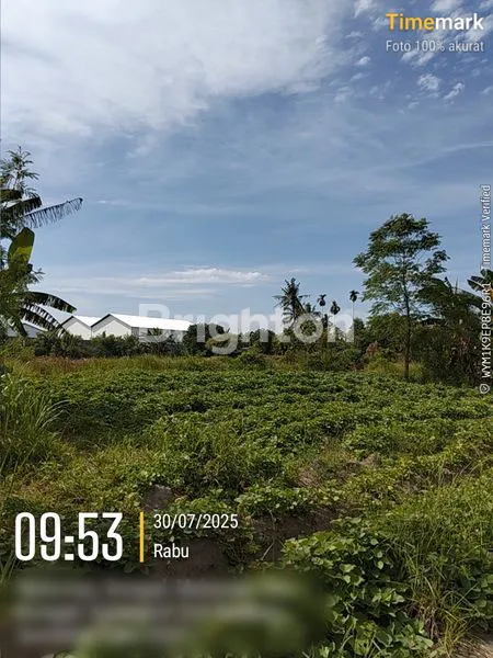 image TANAH SAWAH LUAS 7.650 M² – COCOK UNTUK AGRIBISNIS ATAU INVESTASI! (5)