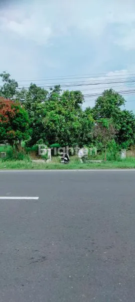 image TANAH KOMERSIAL PREMIUM 1.010M² TEPI JALAN RAYA BALONGPANGGANG (2)