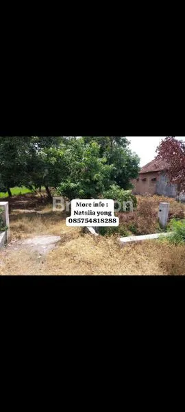 image TANAH KOMERSIAL PREMIUM 1.010M² TEPI JALAN RAYA BALONGPANGGANG (1)