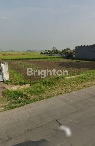 TANAH SAWAH PREMIUM 2034M² PINGGIR JALAN UTAMA CIPARAY BANDUNG