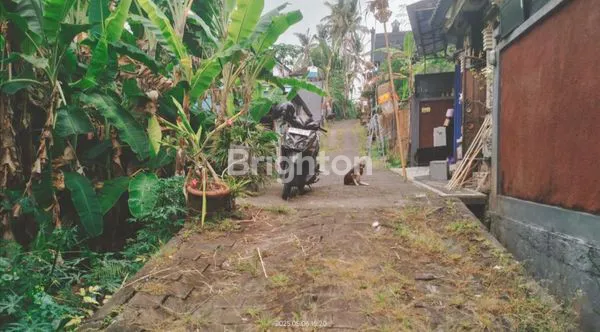image DIJUAL TANAH DAERAH GULINGAN MENGWI (3)