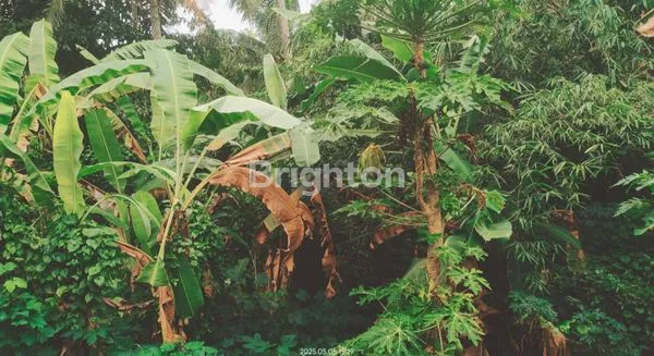 image DIJUAL TANAH DAERAH GULINGAN MENGWI (5)