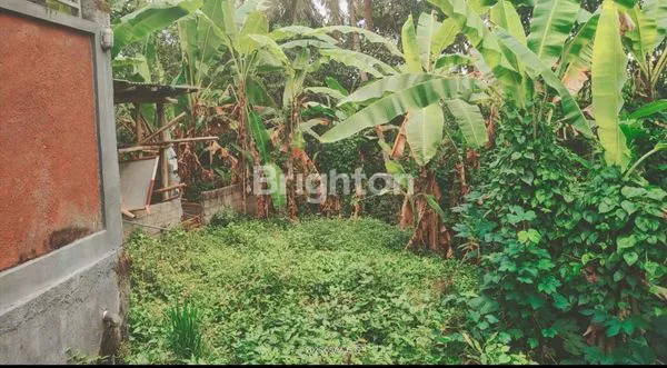 image DIJUAL TANAH DAERAH GULINGAN MENGWI (8)