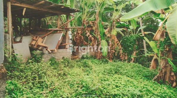 image DIJUAL TANAH DAERAH GULINGAN MENGWI (2)