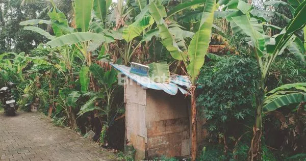 image DIJUAL TANAH DAERAH GULINGAN MENGWI (6)