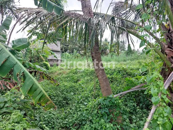 image DISEWAKAN TANAH 1.200 M² VIEW LAUT DI PANTAI SABA GIANYAR BALI  3 MENIT KE PANTAI (5)