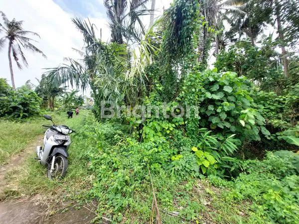 image DISEWAKAN TANAH 1.200 M² VIEW LAUT DI PANTAI SABA GIANYAR BALI  3 MENIT KE PANTAI (3)