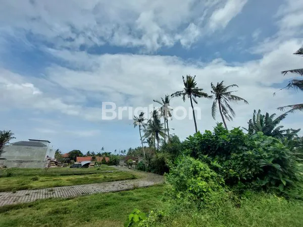 image DISEWAKAN TANAH 1.200 M² VIEW LAUT DI PANTAI SABA GIANYAR BALI  3 MENIT KE PANTAI (4)